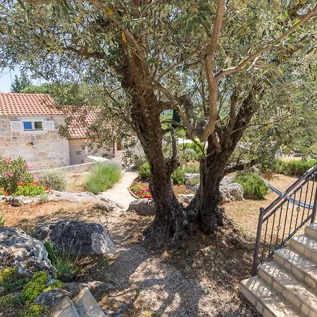 Appartamento Olive Garden