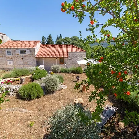 Appartamento Olive Garden *