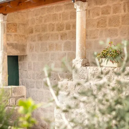 Olive Garden Appartamento