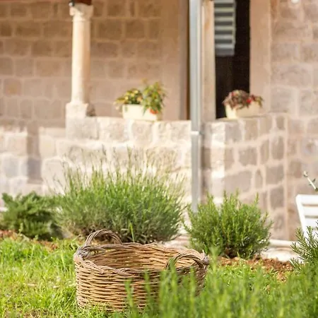 Olive Garden Appartamento