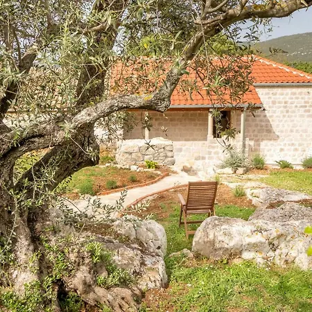 Appartamento Olive Garden Ston