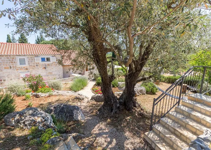 Lägenhet Olive Garden