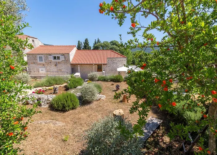 Lägenhet Olive Garden *