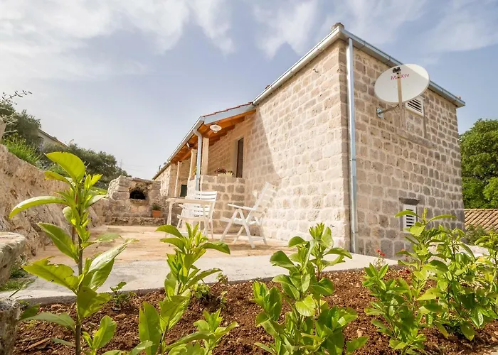 Olive Garden Lägenhet