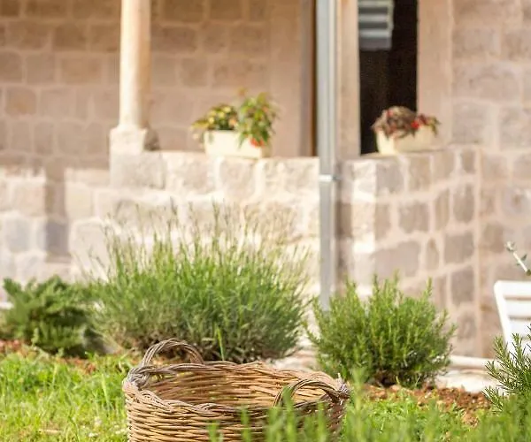 Olive Garden Lägenhet