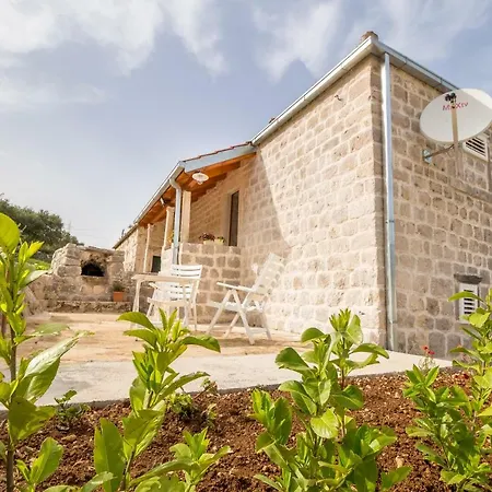 Olive Garden Appartamento