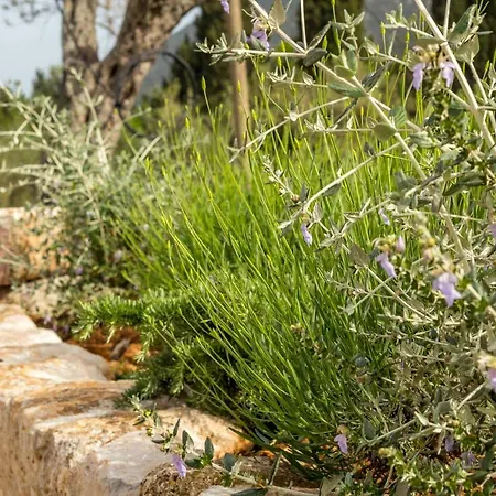 Olive Garden アパート