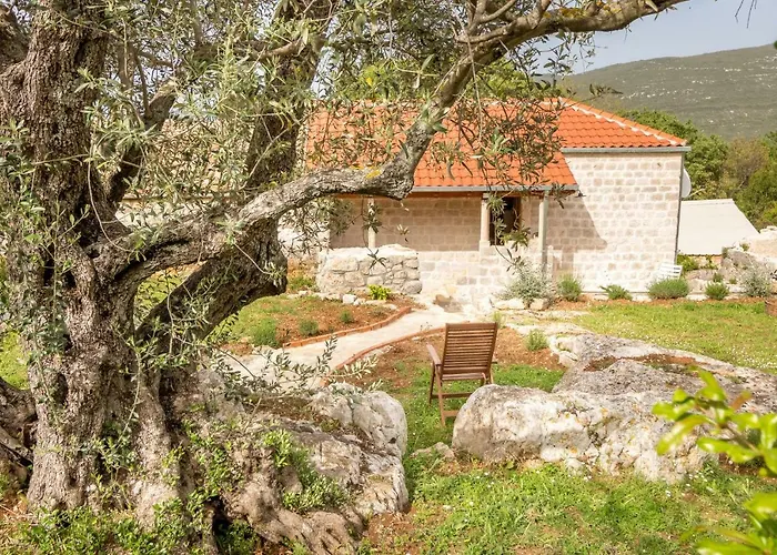 Lejlighed Olive Garden Ston